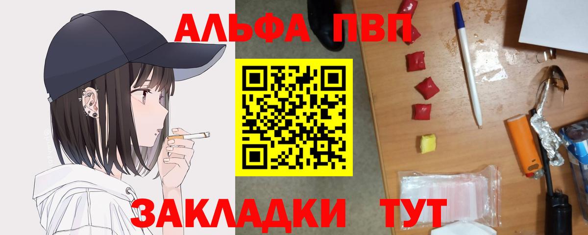 Альфа ПВП СК КРИС Владикавказ