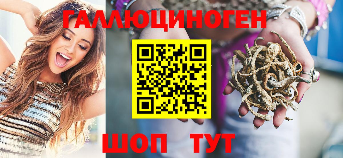 Галлюциногенные грибы мицелий  даркнет сайт  Псилоцибиновые грибы GOLDEN TEACHER  Владикавказ  Вход с VPN 